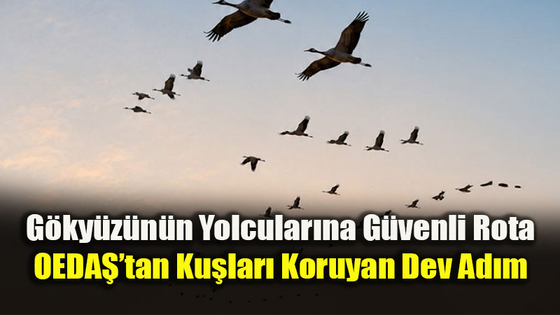 Kanatl� Dostlara G�venli Yuva: OEDAޒtan �rnek �evreci Yat�r�m