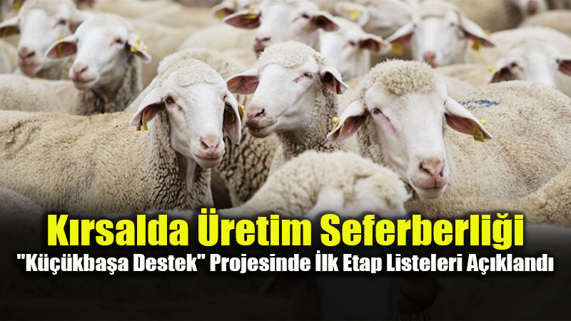 K�rsalda Bereket Ba�l�yor: Bakanl�k �l �l Hak Sahiplerini Belirledi
