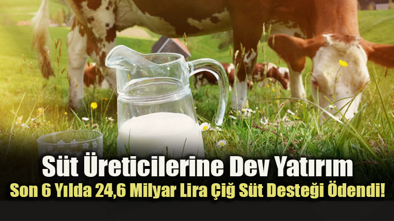 Bakanl�k Rakamlar� A��klad�: S�t �reticilerine 24,6 Milyar Liral�k Dev Destek Kalkan�