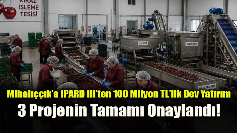 Mihal����k�ta Tar�m Ve Hayvanc�l�k �ahlan�yor: Et, S�t Ve Meyvecili�e 3 Yeni Dev Tesis
