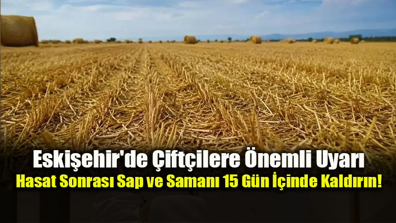 Tepeba��’nda Hasat Mesaisi: �ift�ilere "15 G�nl�k Sap ve Saman" Uyar�s�!