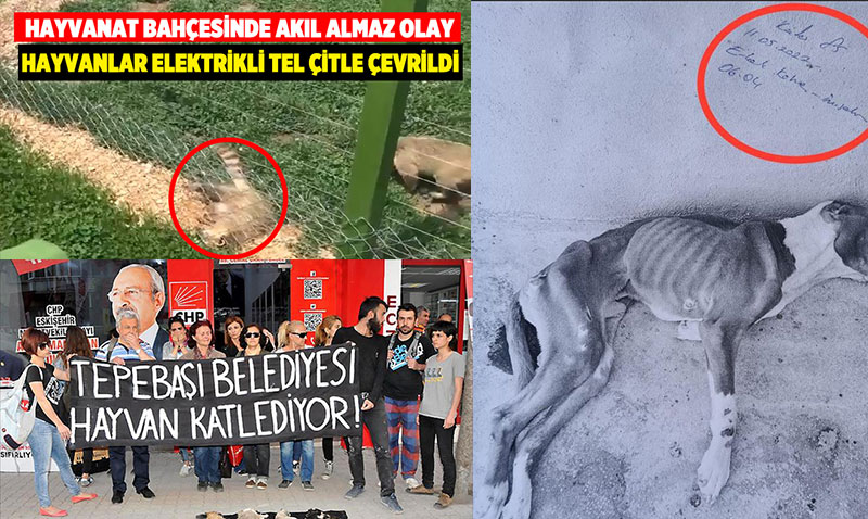 Anketler o kadar m� k�t�? Art�k neden medet umacaklar�n� �a��rd�lar